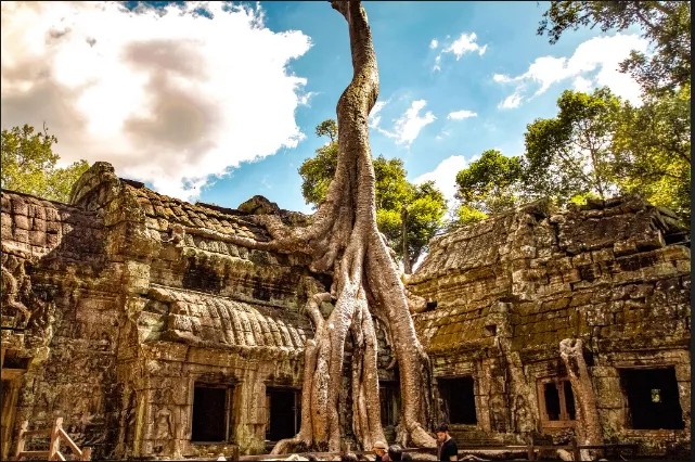 4 Days in Siem Reap: Exploring the Wonders of Cambodia p0qm4q